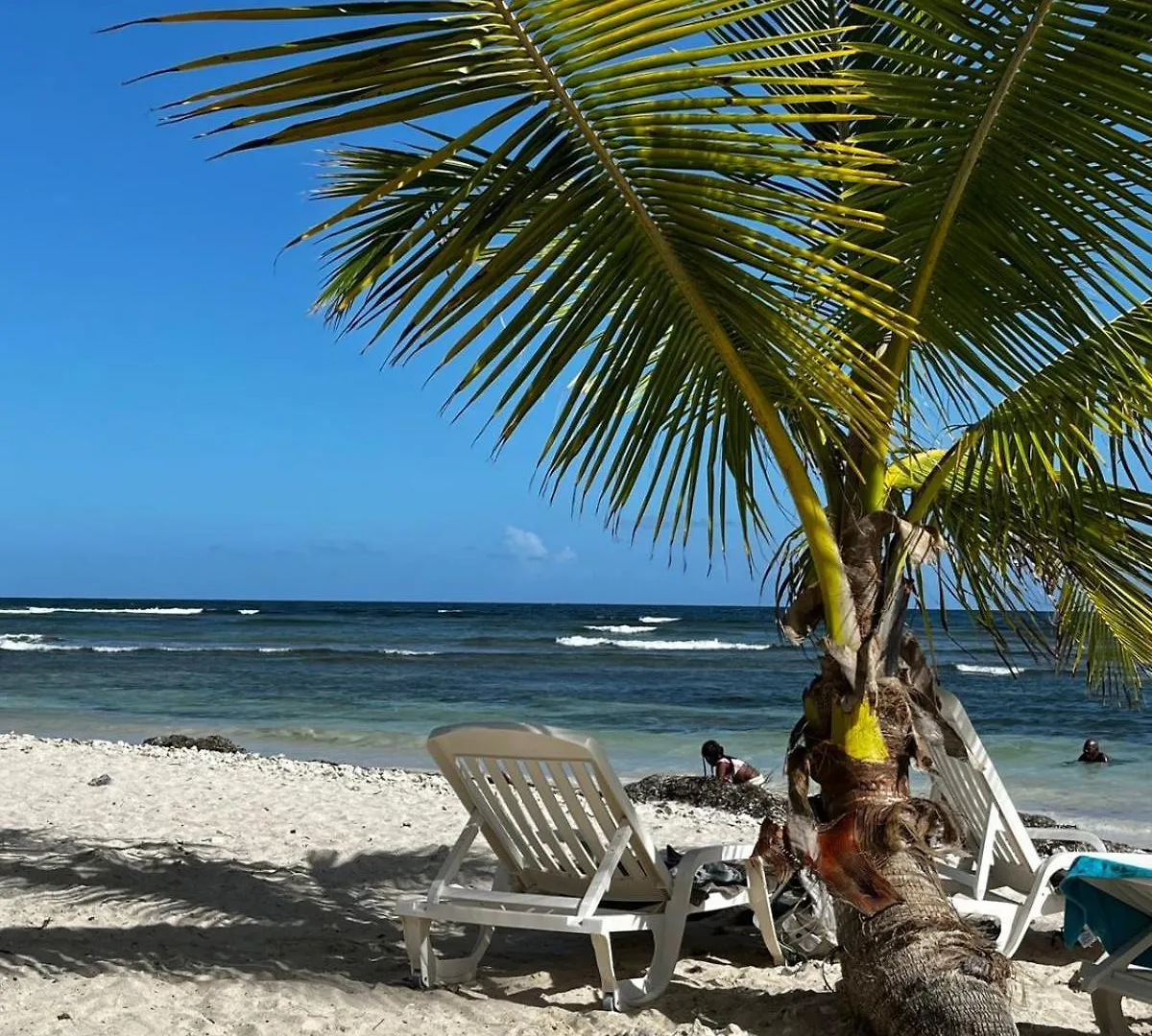 Holiday home Lodge Creole Seo, Douceur De Vivre Tropicale Sainte-Anne