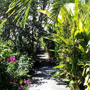 Papaye Hébergement de vacances